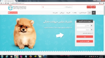 طراحی سایت مجله حیوانات خانگی